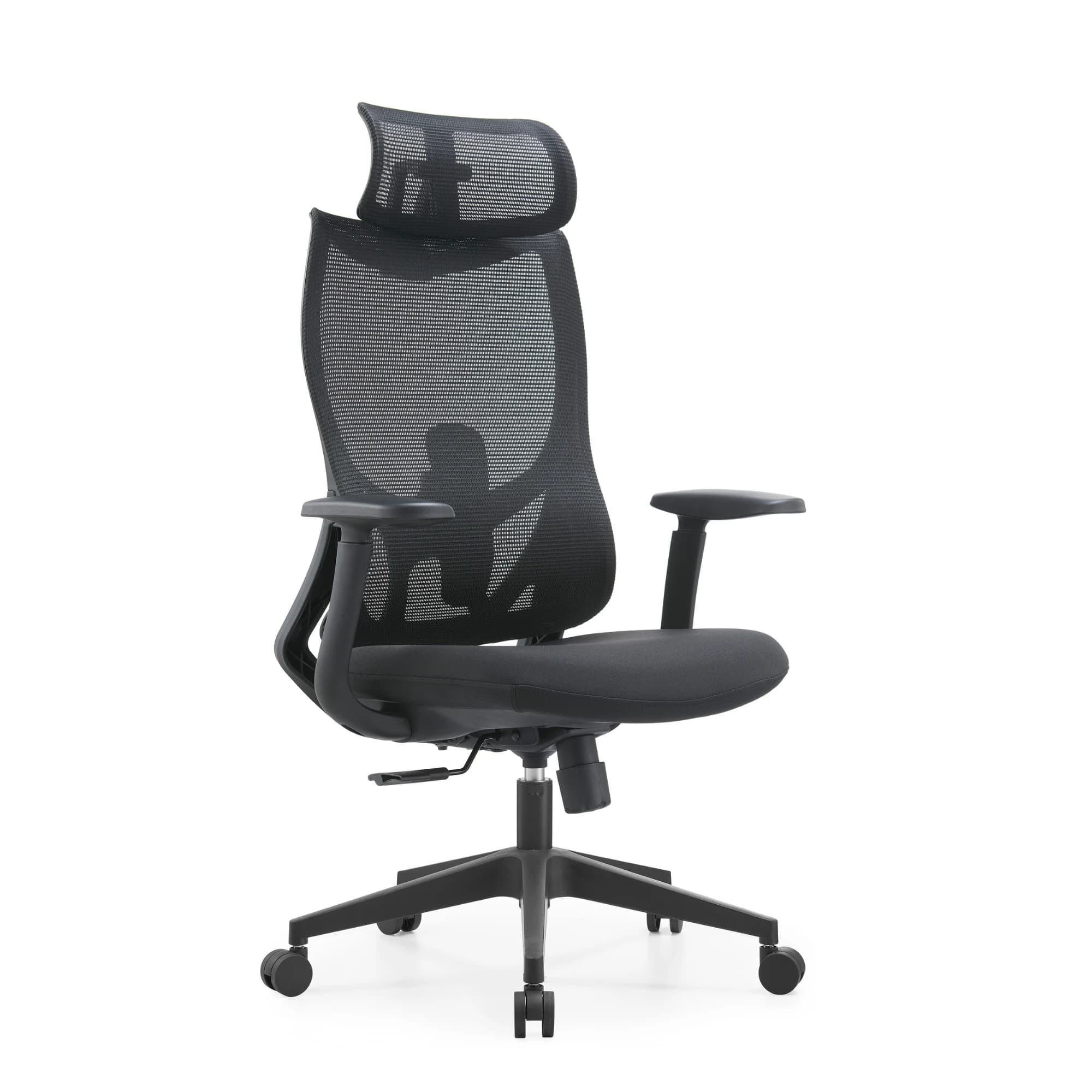Aerthom Stride Black Ergonomic Chair